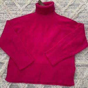 J Crew wool alpaca blend turtle neck sweater